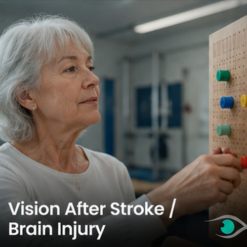 Vision After Stroke / Brain Injury